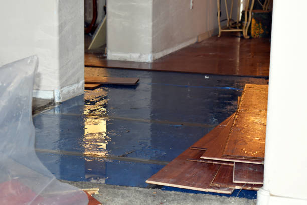 Professional Burst Pipe Cleanup technician working in Gibsonville, NC